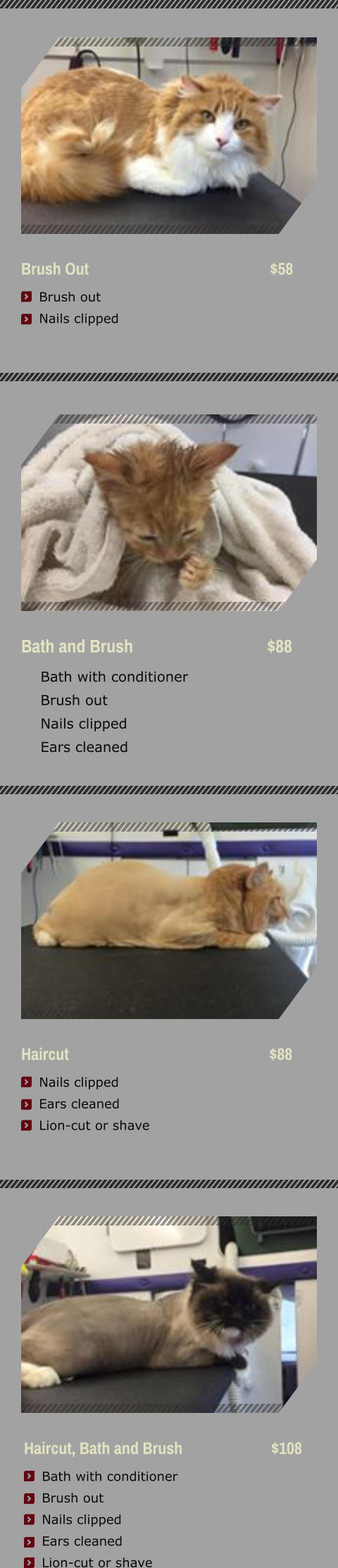 Bath and Brush                                $88     Bath with conditioner     Brush out     Nails clipped     Ears cleaned Brush Out                                               $58     Brush out     Nails clipped      Haircut                                                    $88     Nails clipped     Ears cleaned     Lion-cut or shave   Haircut, Bath and Brush                       $108      Bath with conditioner     Brush out     Nails clipped     Ears cleaned     Lion-cut or shave